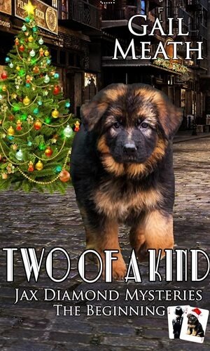 TWO OF A KIND: The Beginning