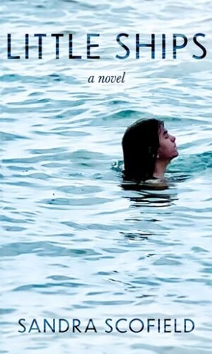 Little Ships: A Novel